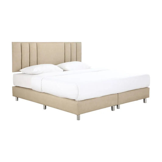 VERTIZ FDT+HB PVC#L11-10 NF 5FT CR
